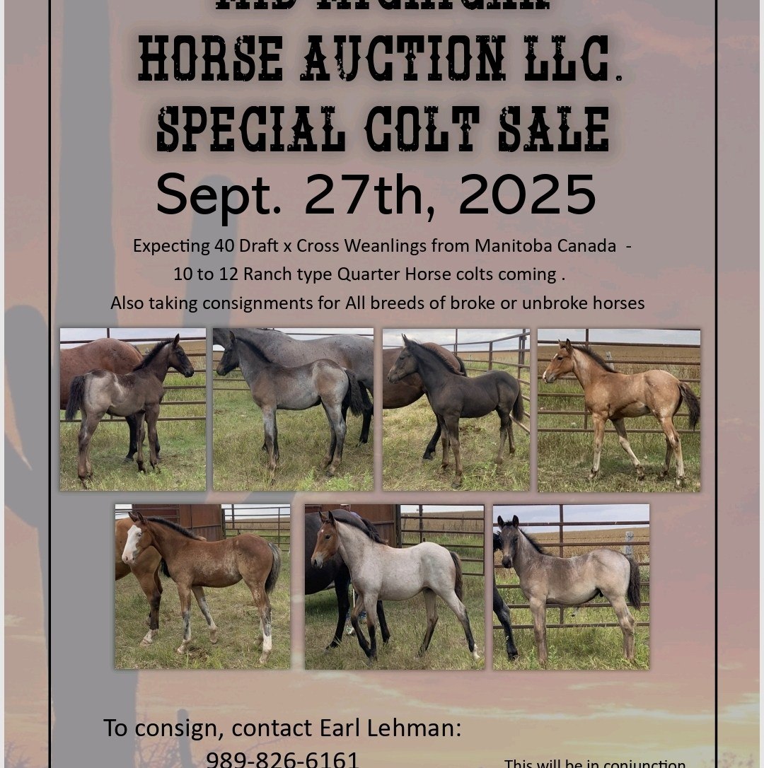 Mid Michigan Horse Auction... - Mid Michigan Horse Auction