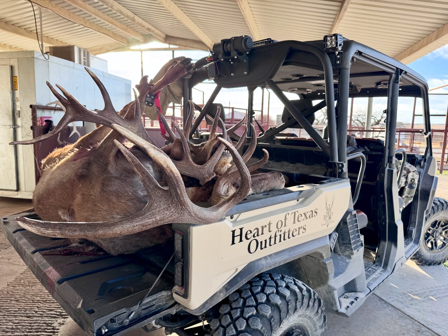 Topo - Double Stag, fully loaded haul showcasing our TOPO headache rack ...