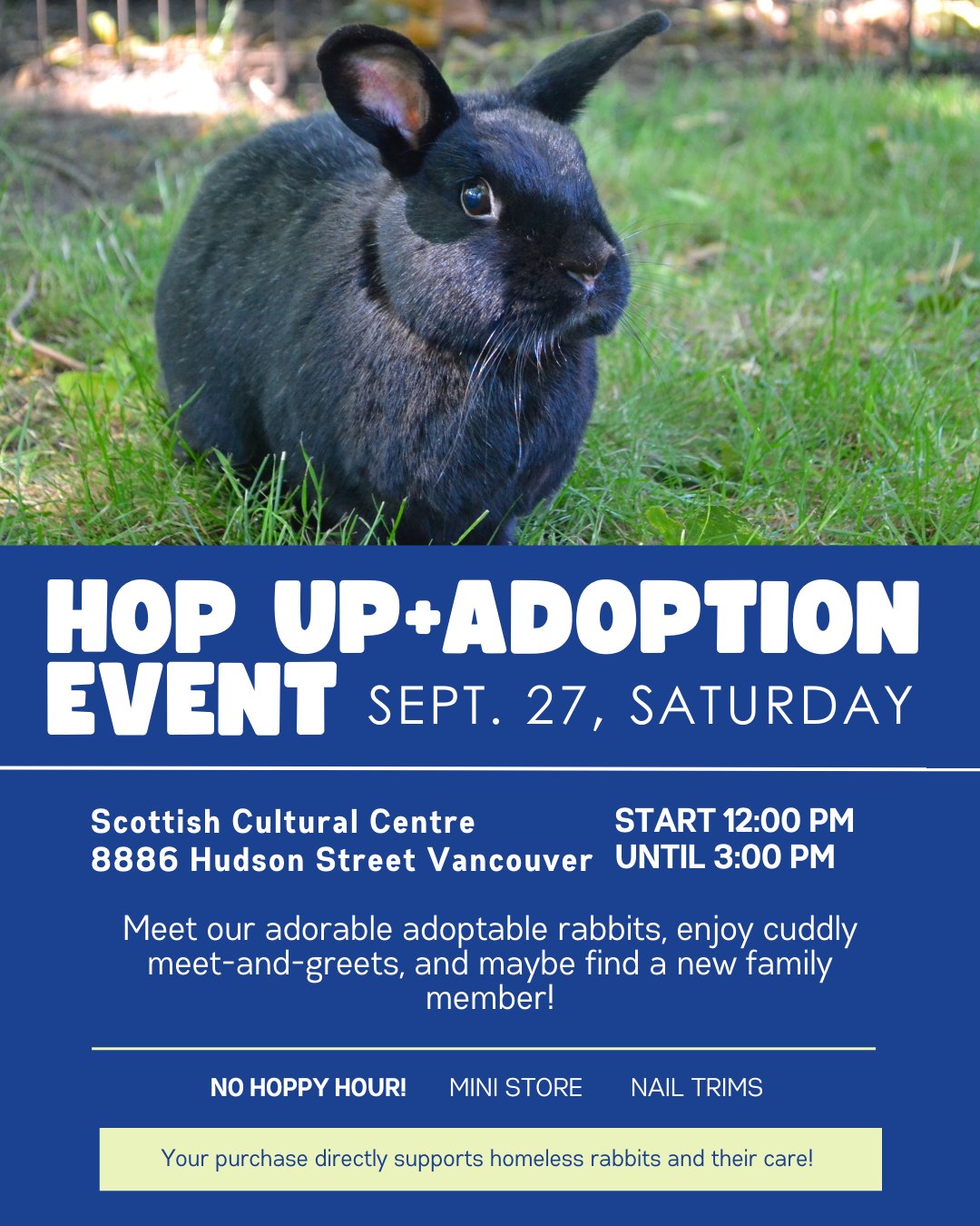 🐰 !SPECIAL EDITION... - Vancouver Rabbit Rescue and Advocacy | Facebook