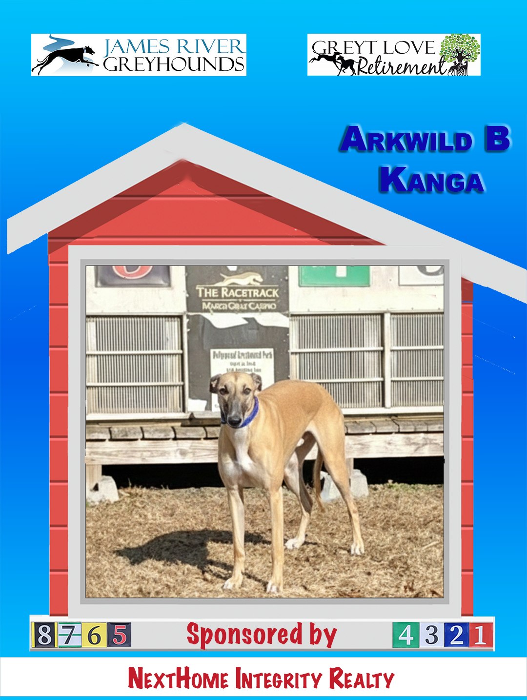 Greyt - UPDATE: ALL sponsorships covered! Greyhound folks rock! Hmmmm ...