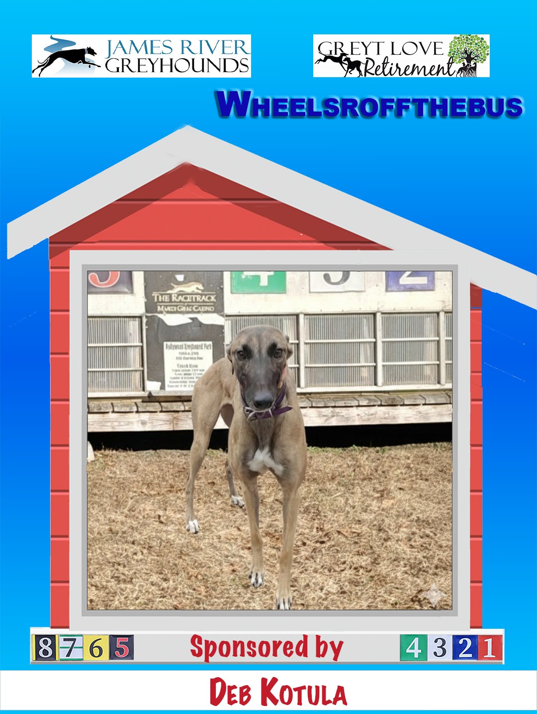 Greyt - UPDATE: ALL sponsorships covered! Greyhound folks rock! Hmmmm ...