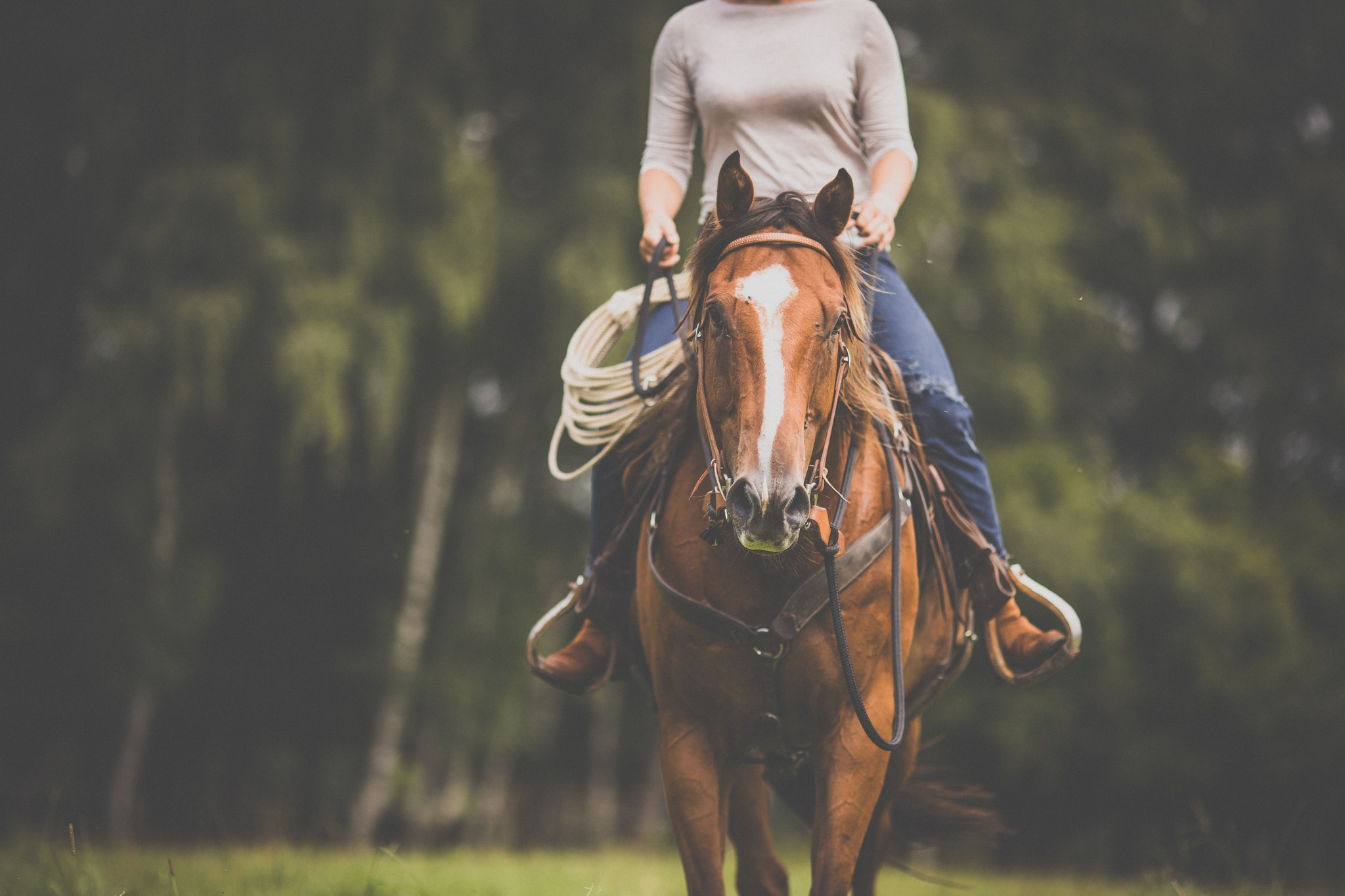 NC - EVENT HAS BEEN CANCELLED until 2026 🌟 Attention Trail Riders ...