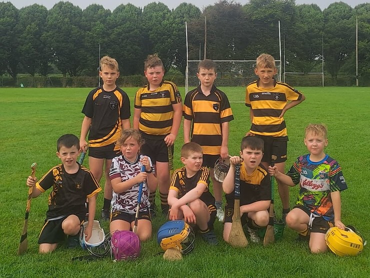 Official Arravale Rovers GAA | Tipperary