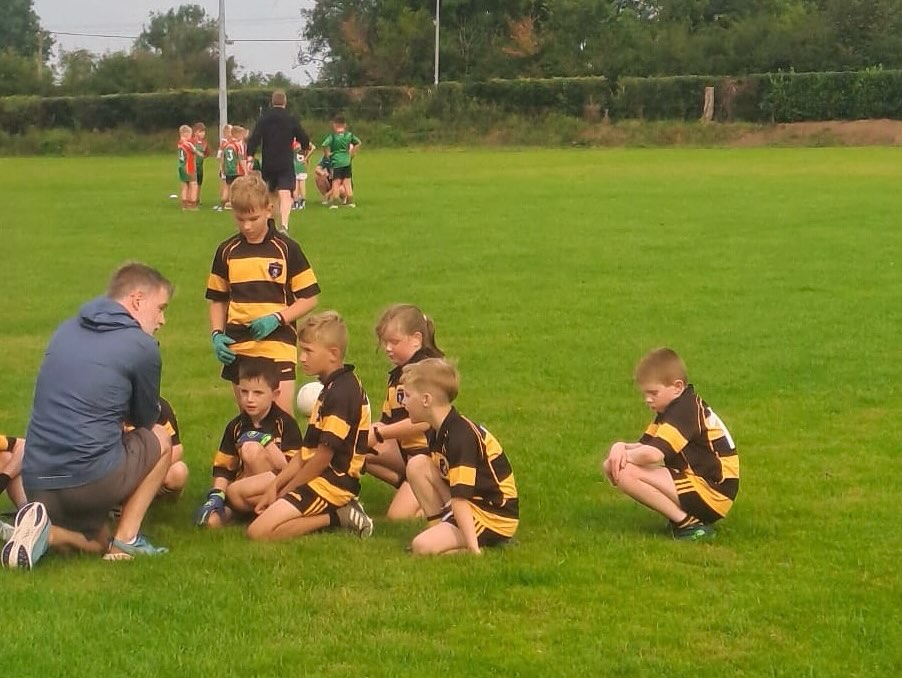 Official Arravale Rovers GAA | Tipperary