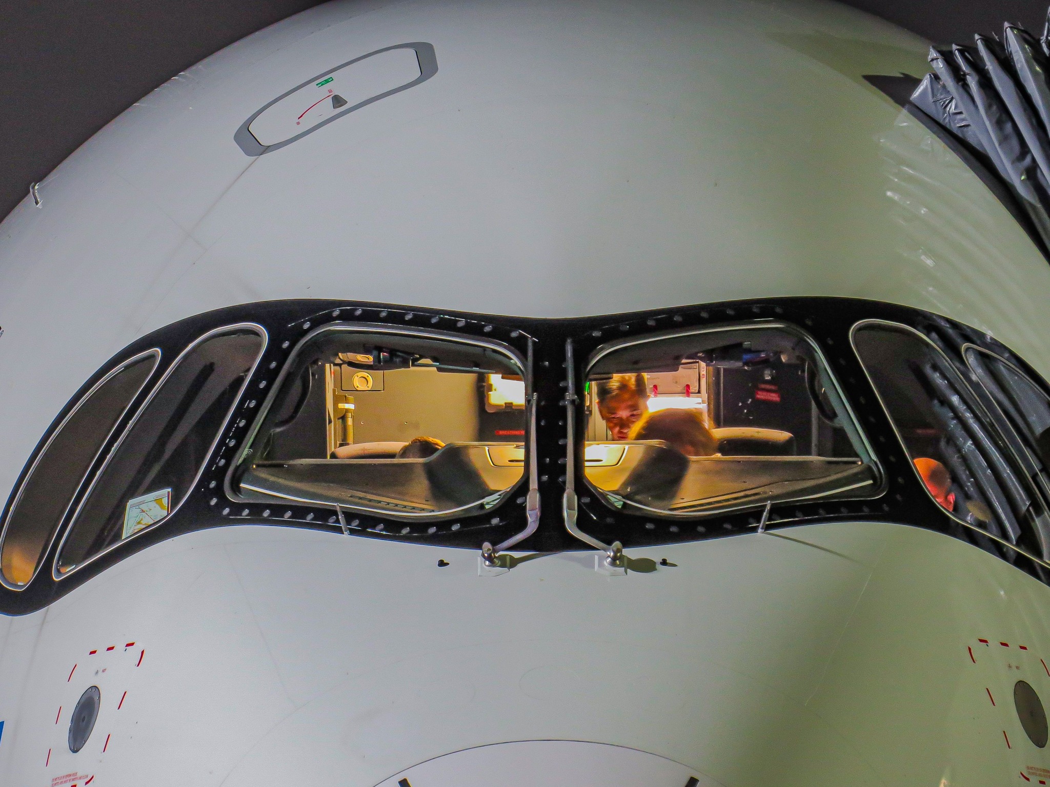 Drew - The Raccoon Mask: The A350's nose, affectionately known as the ...
