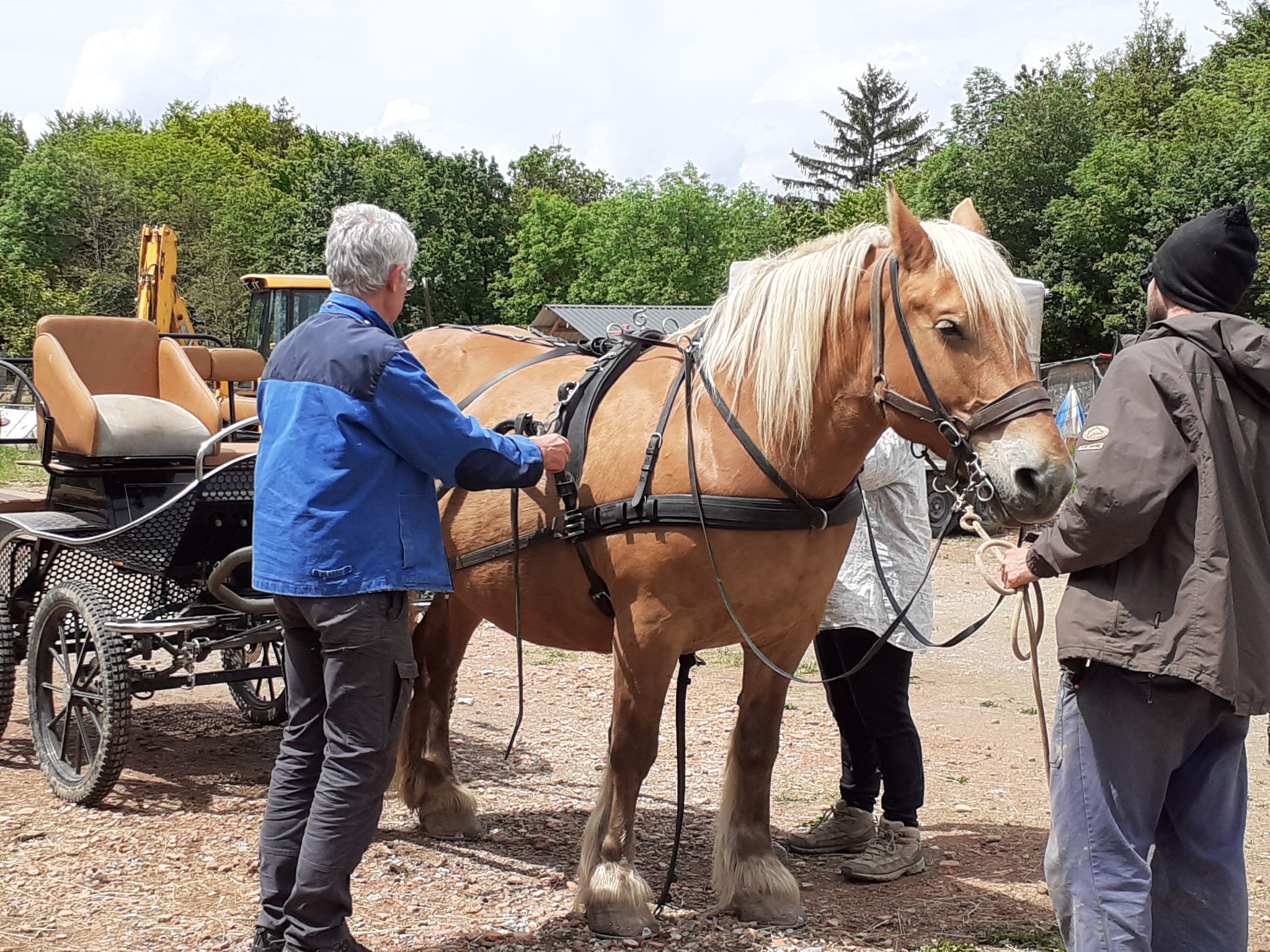 Isère Cheval Vert added a new photo. - Isère Cheval Vert