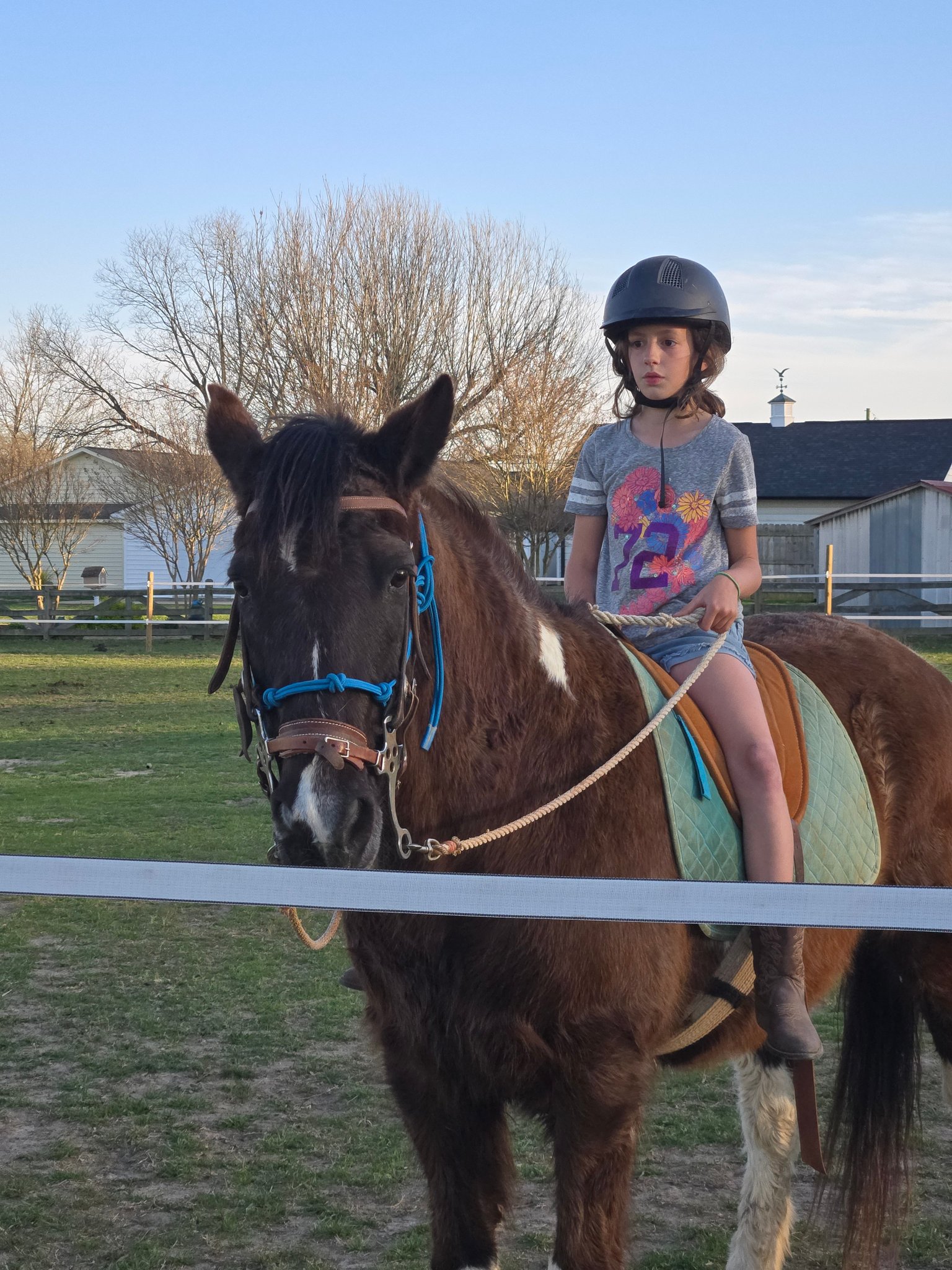 KC Farm and Riding... - KC Farm and Riding Facilities