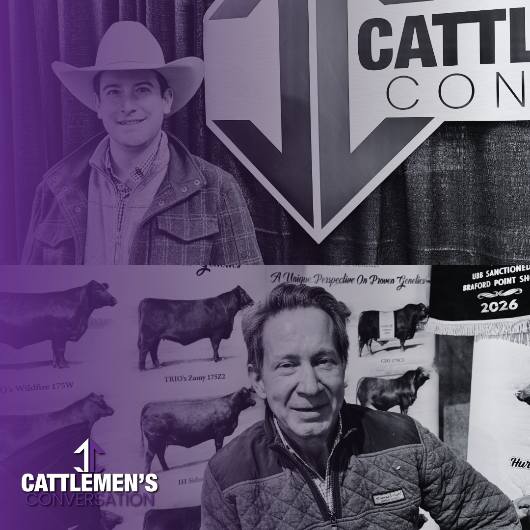 TRIO Cattle & Genetics - Reserve Senior Calf Champion Bull for San ...