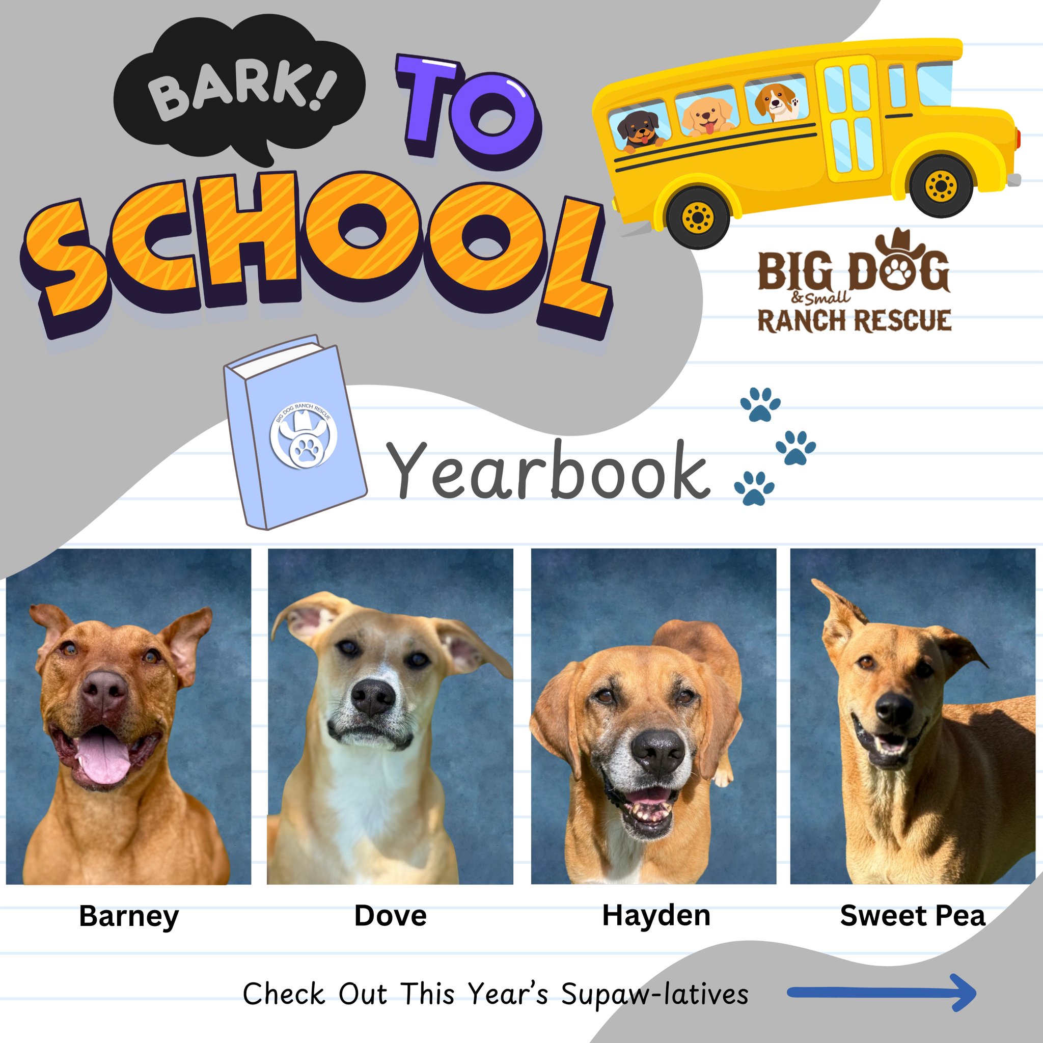 🎓🐾 Our Bark to School Yearbook is... - Big Dog Ranch Rescue | Facebook