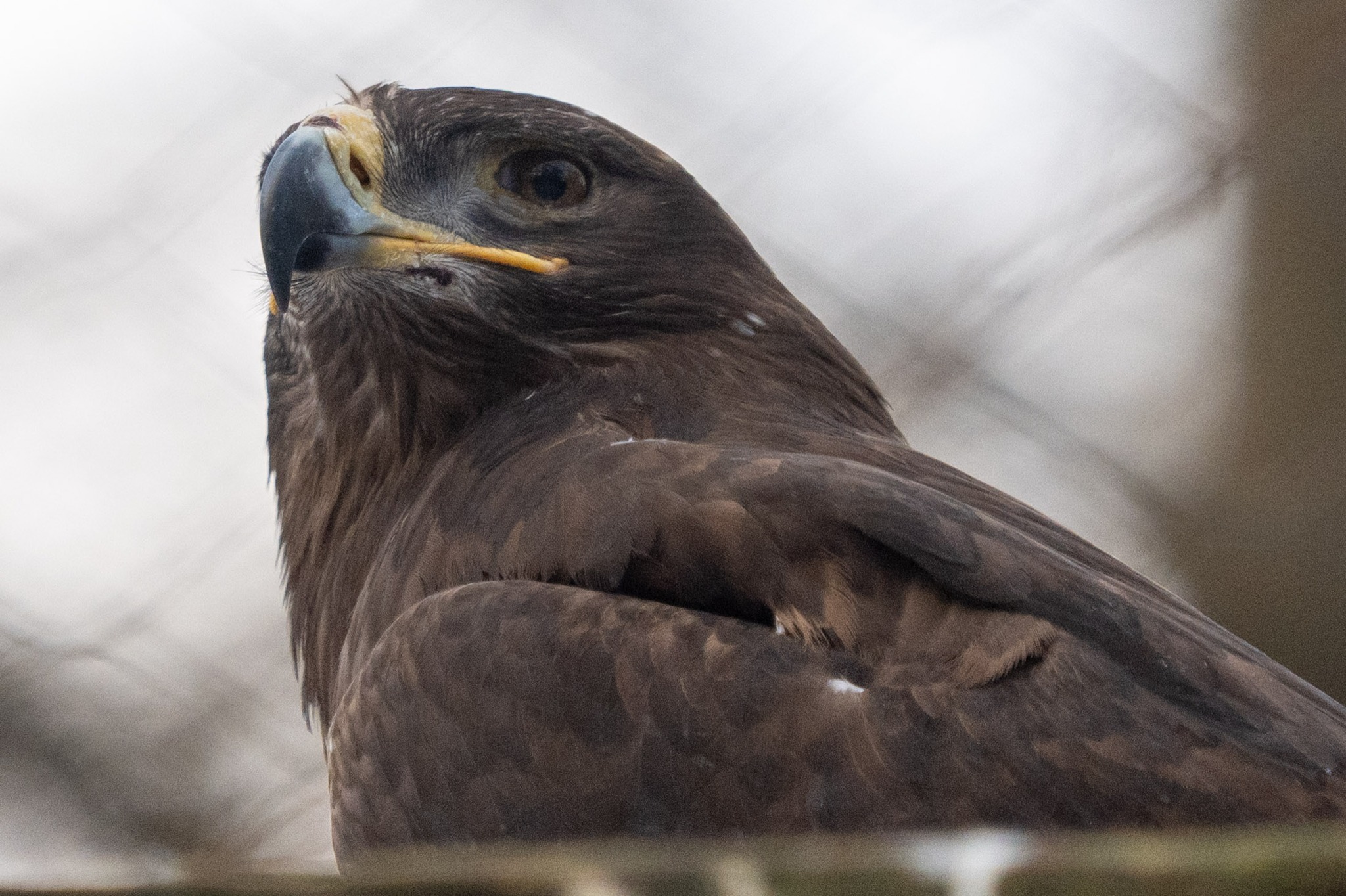 ZOO Łódź - Czy wiesz, że w naszym zoo mieszka jeden z... | Facebook