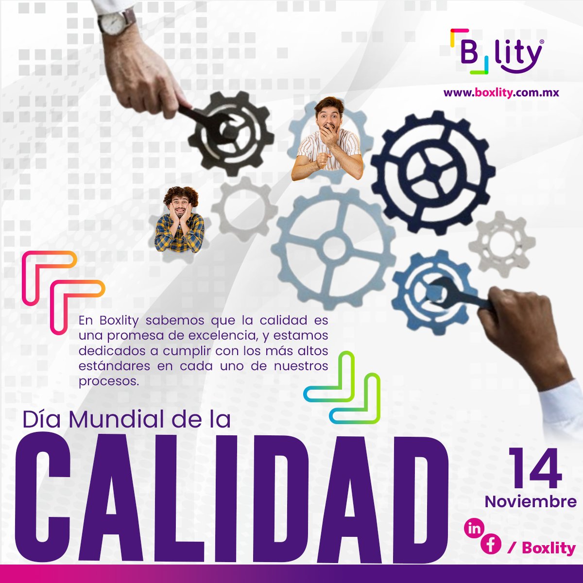 Boxlity - La calidad nos guía en cada envío, en cada... | Facebook