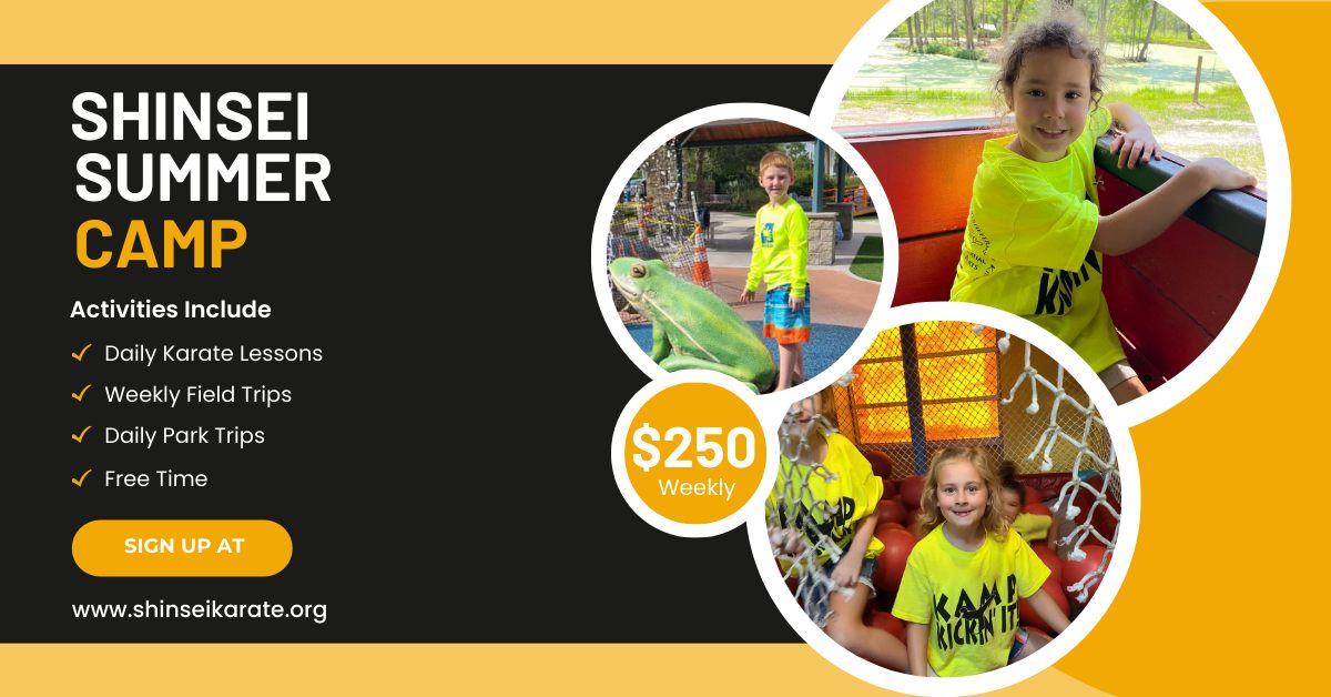 Shinsei - SUMMER CAMP 2025 🌞 **Get Ready to Kick Off the Ultimate ...