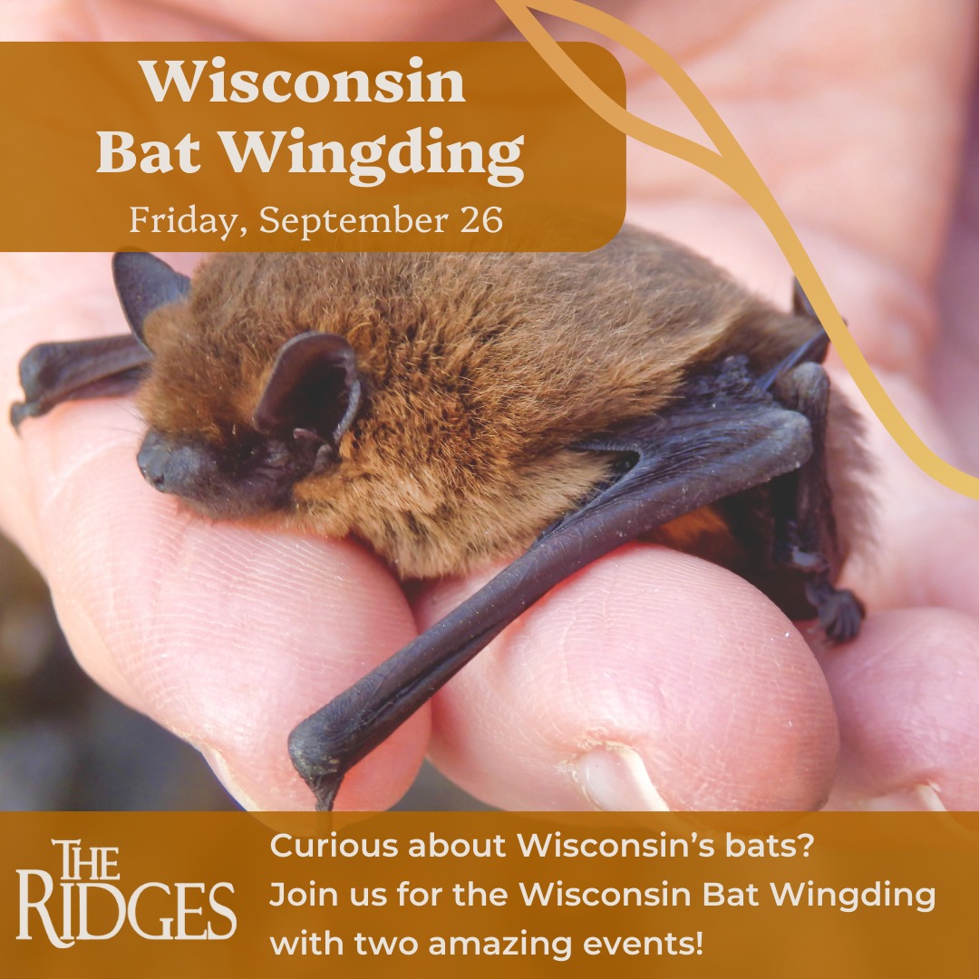 The Ridges Sanctuary, Inc. | Baileys Harbor WI