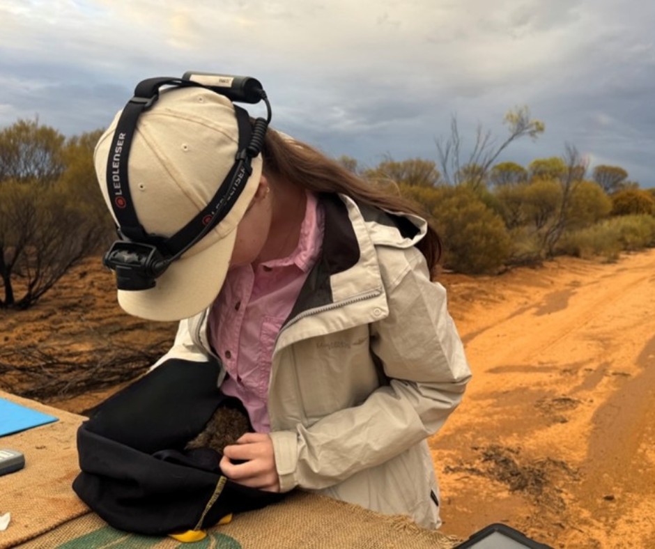 Australian Wildlife Conservancy - Volunteers needed! The science team ...