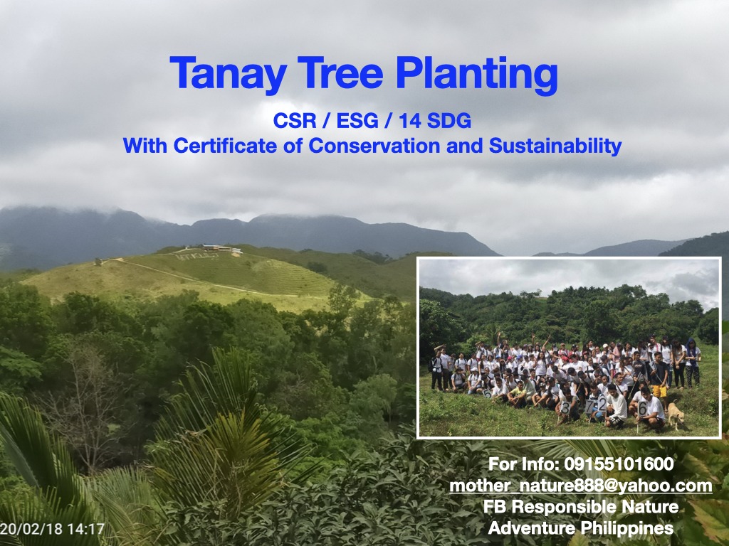 Responsible - CSR Tree Planting for the conservation of environment ...