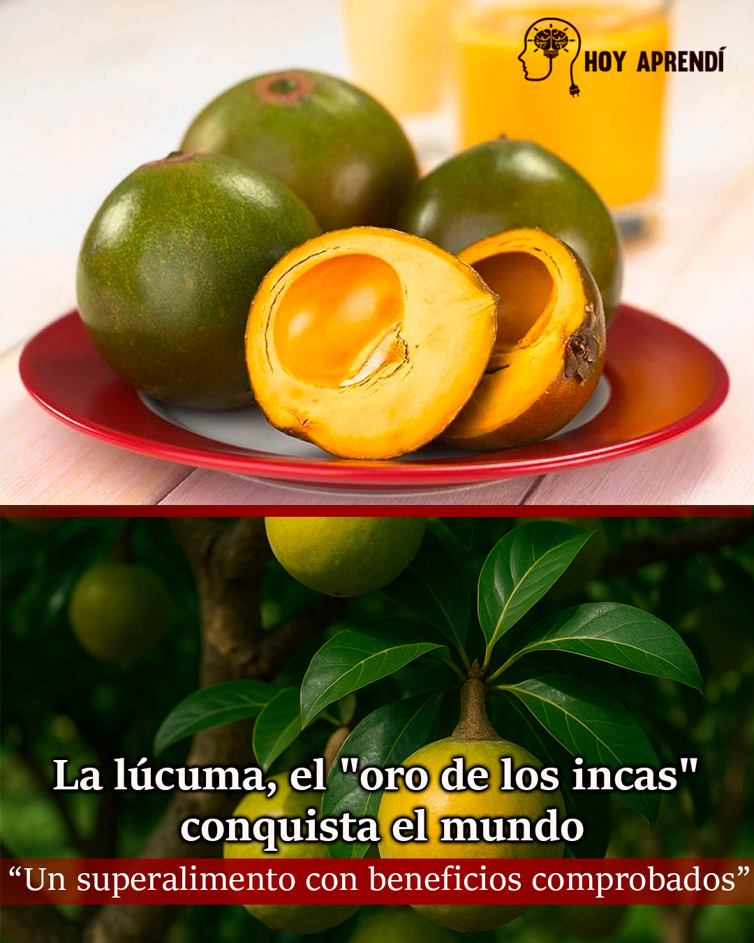 Hoy - La lúcuma, fruto originario de los Andes y símbolo ancestral de ...