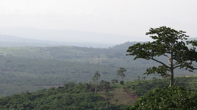 OFIE TV - The Akuapems then known as the Hill Guans were living very ...