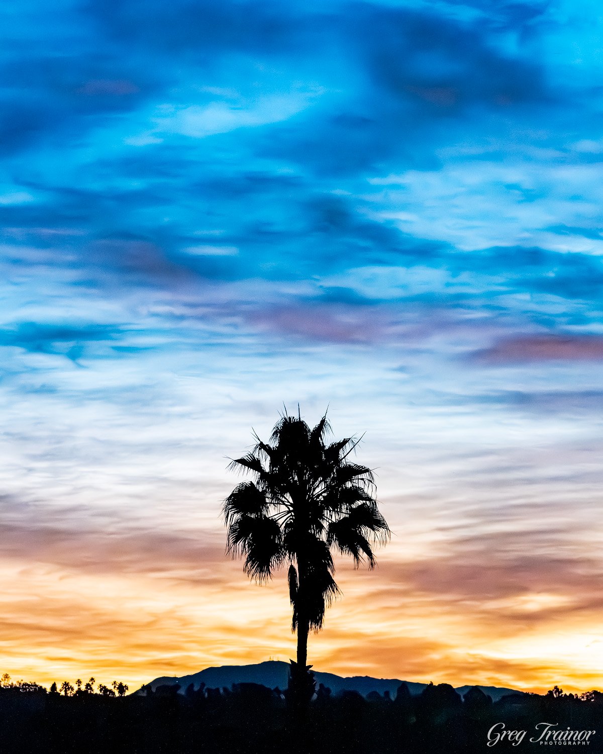 Greg Trainor Photography