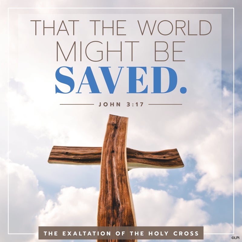 This past weekend, we celebrated the... - Church of St. Peter | Facebook