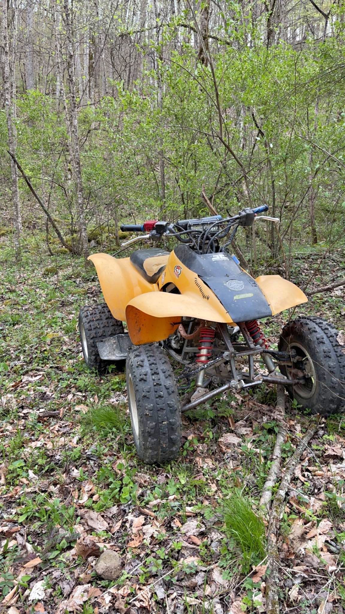 2002 Honda 300ex - Powersport Vehicles - Rousseau, Kentucky | Facebook ...