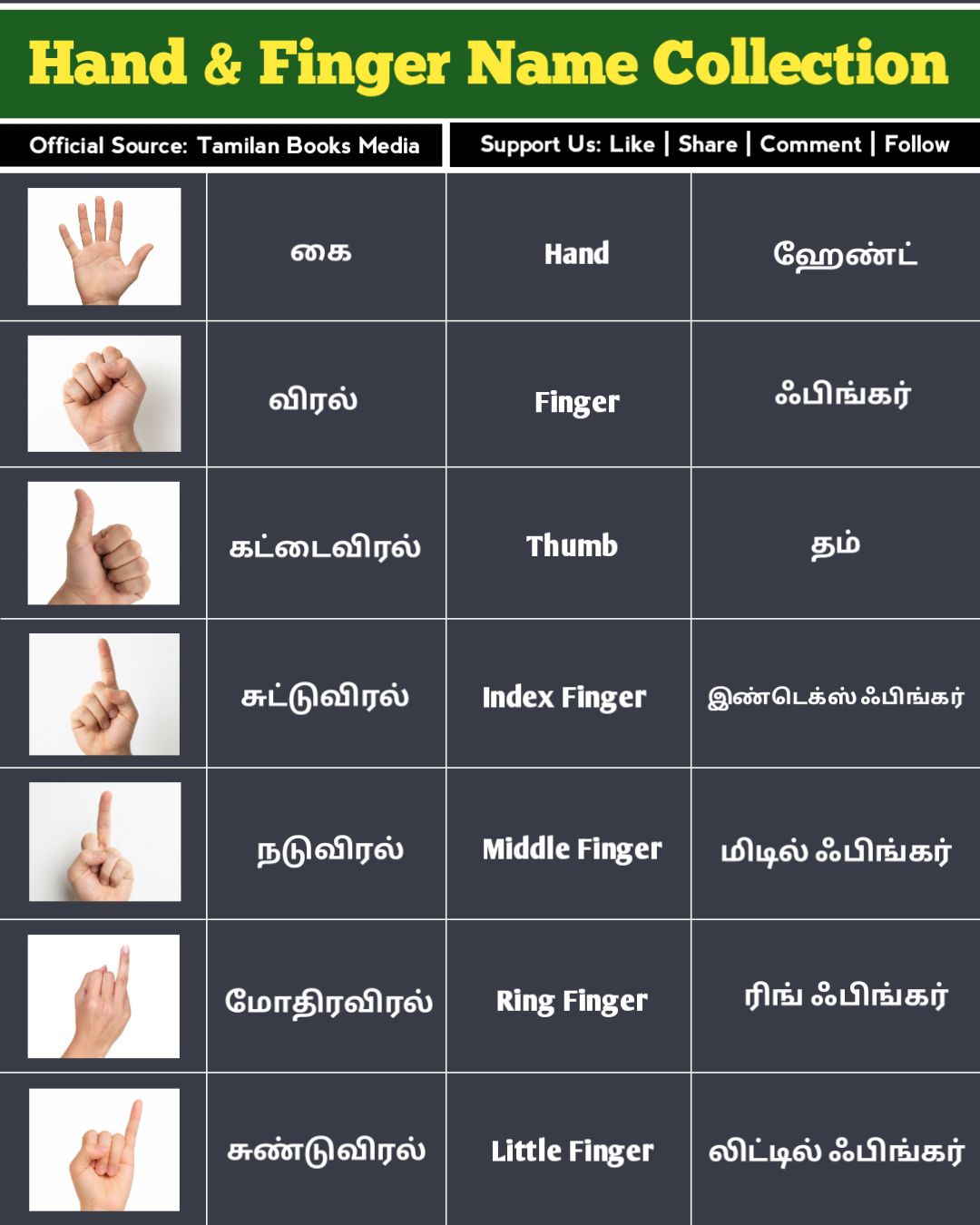 Tamilan - ‎Learn the Names of Fingers & Hand Parts in English Fast | கை ...