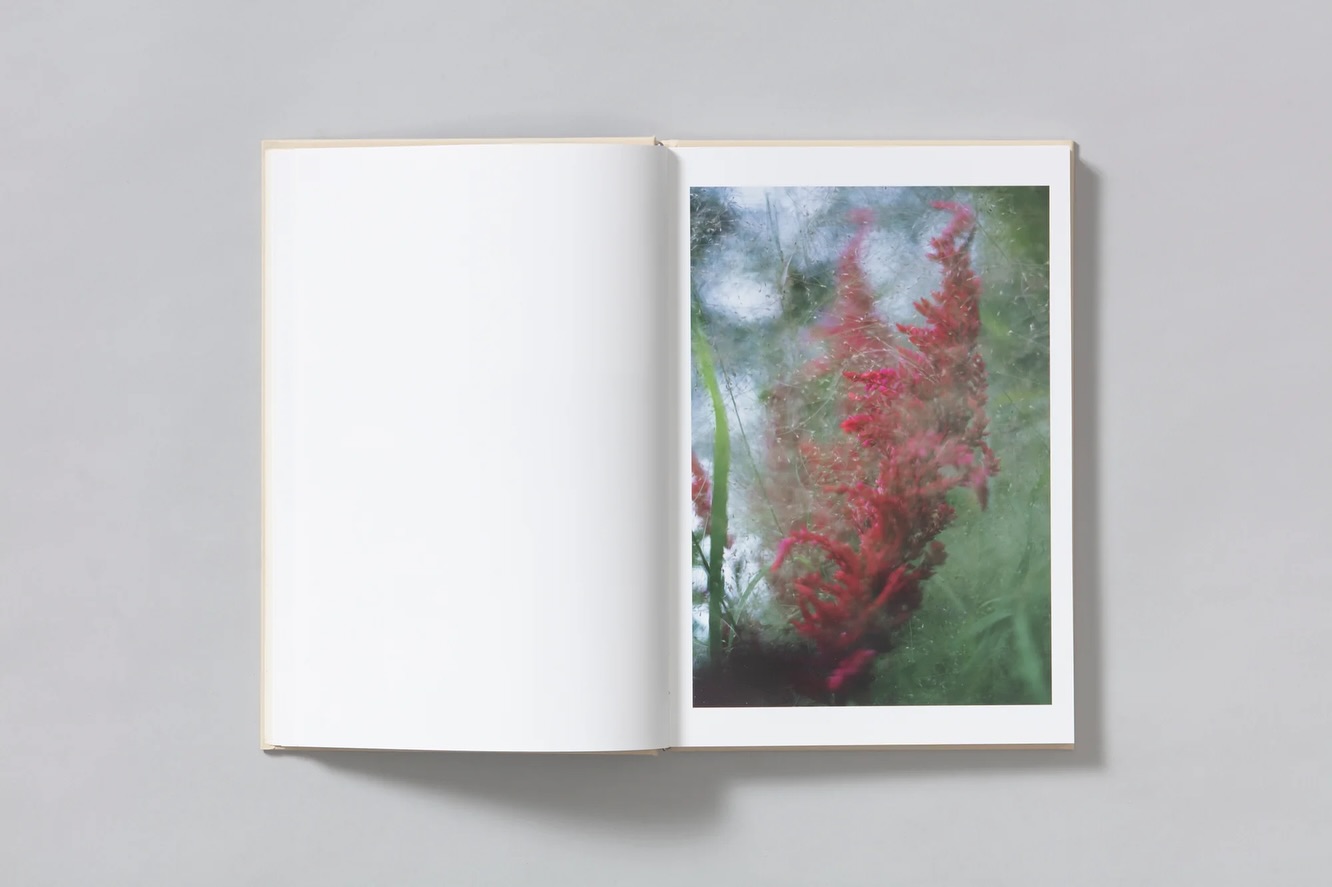 Very excited to have this book in stock! Lin Zhipeng a.k.a. No.223 