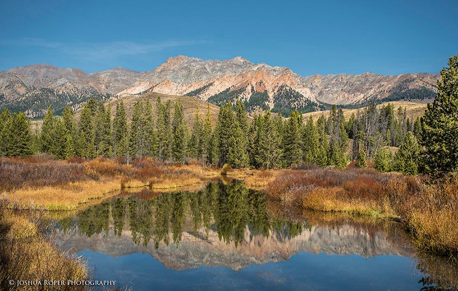 Joshua Roper Photography