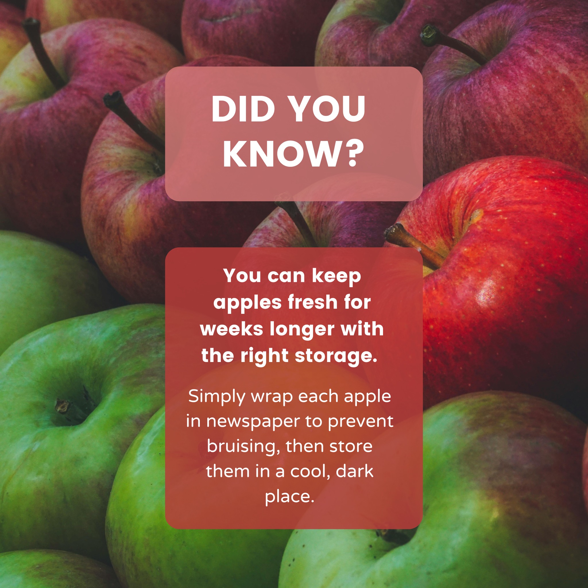 TOPS Club Inc. - 🍎🍏🍎 With apples in peak season and plenty... | Facebook
