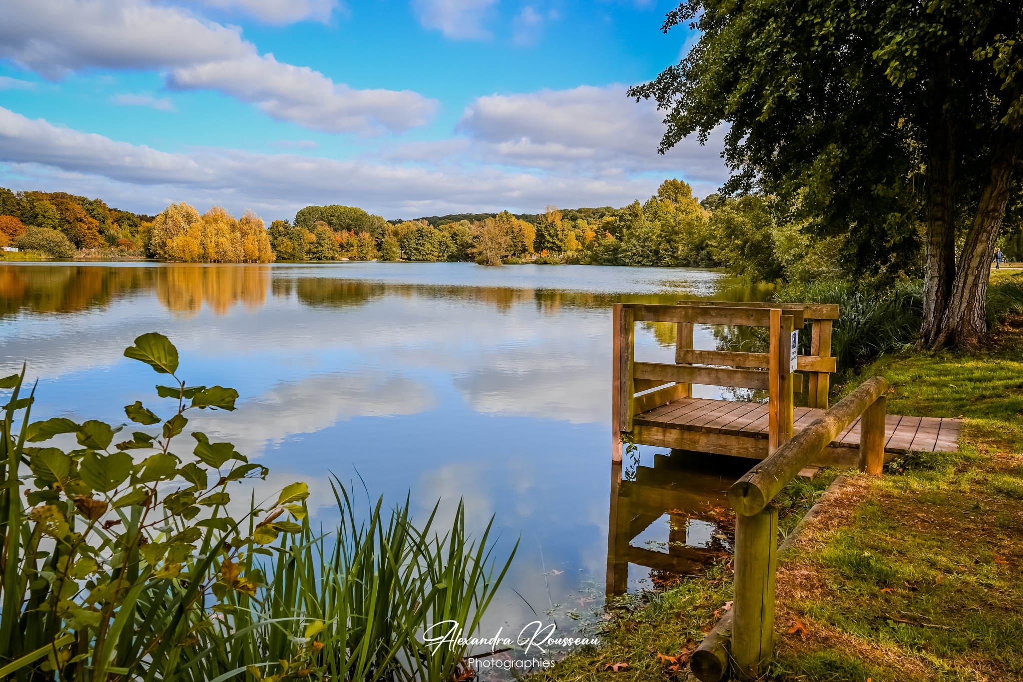 Alexandra Rousseau Photographies