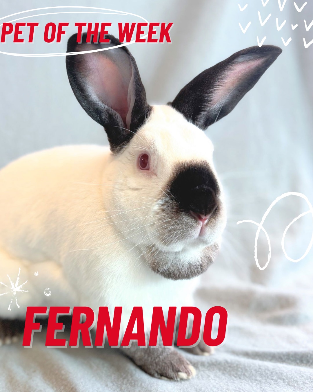 Peninsula Humane Society... - Peninsula Humane Society & SPCA