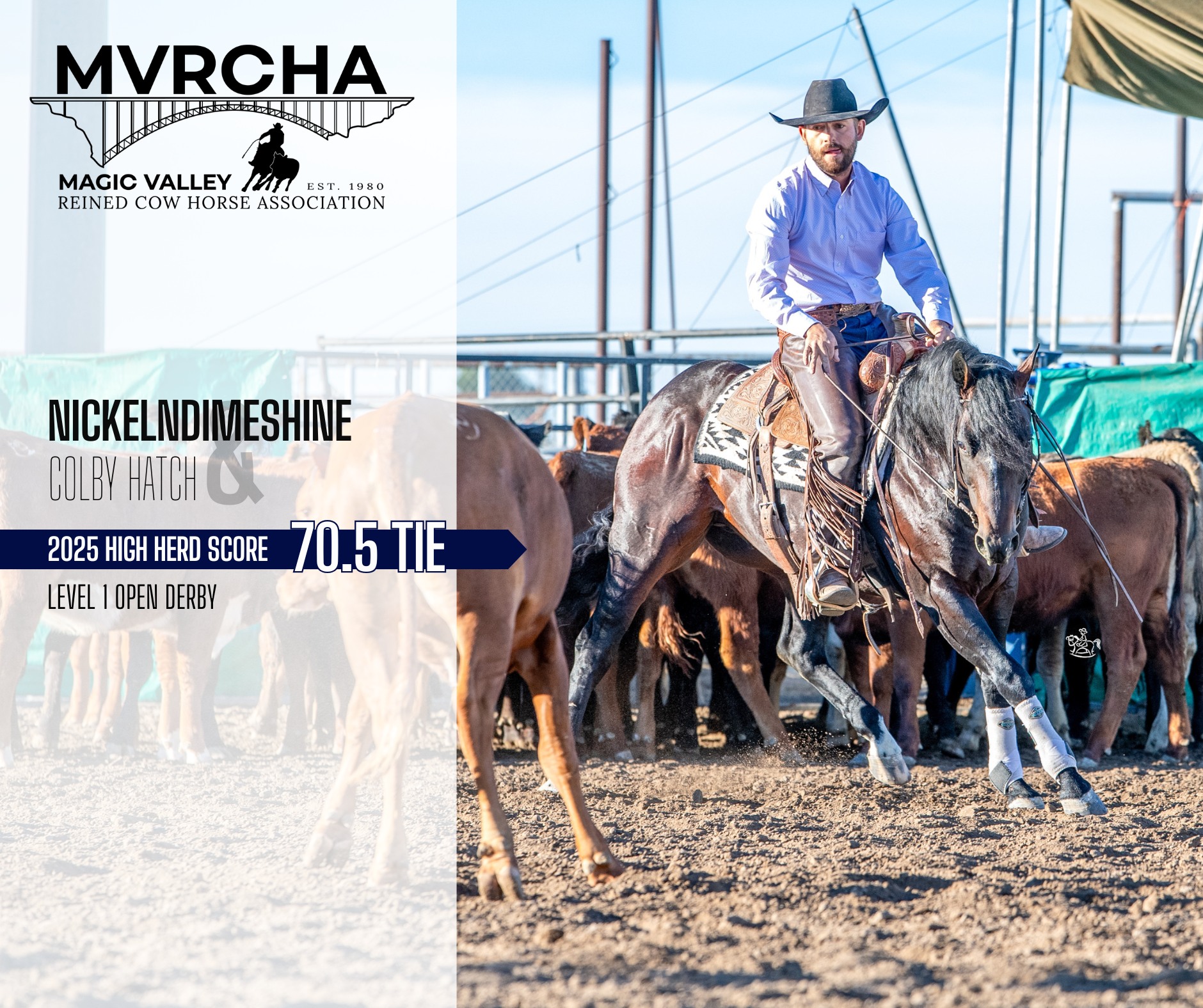 Magic Valley... - Magic Valley Reined Cow Horse Association
