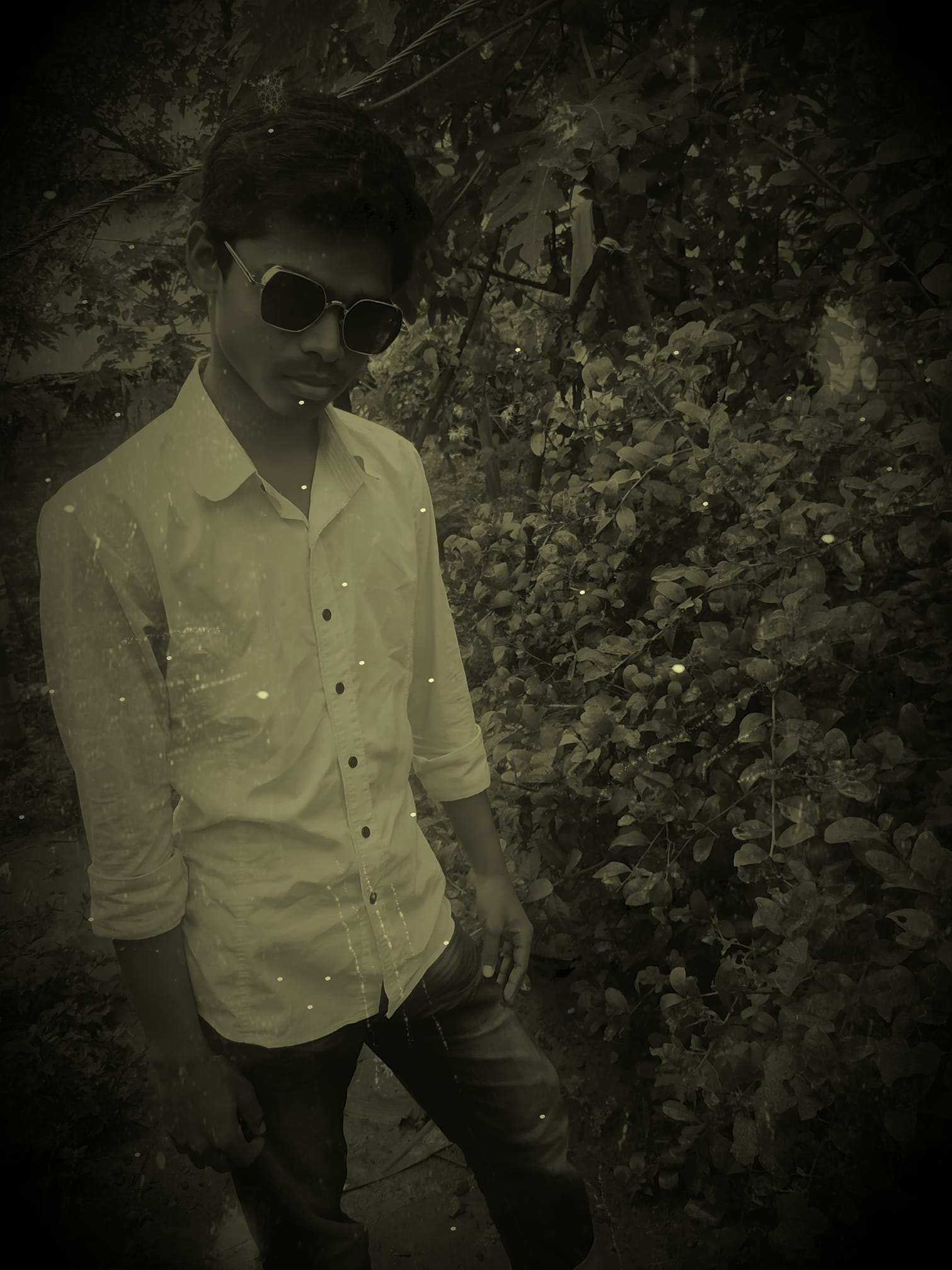 Md Robin Rahman Bappi