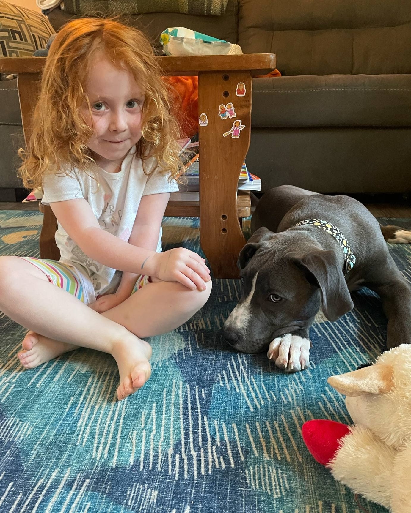 Great Dane Friends of Ruff Love