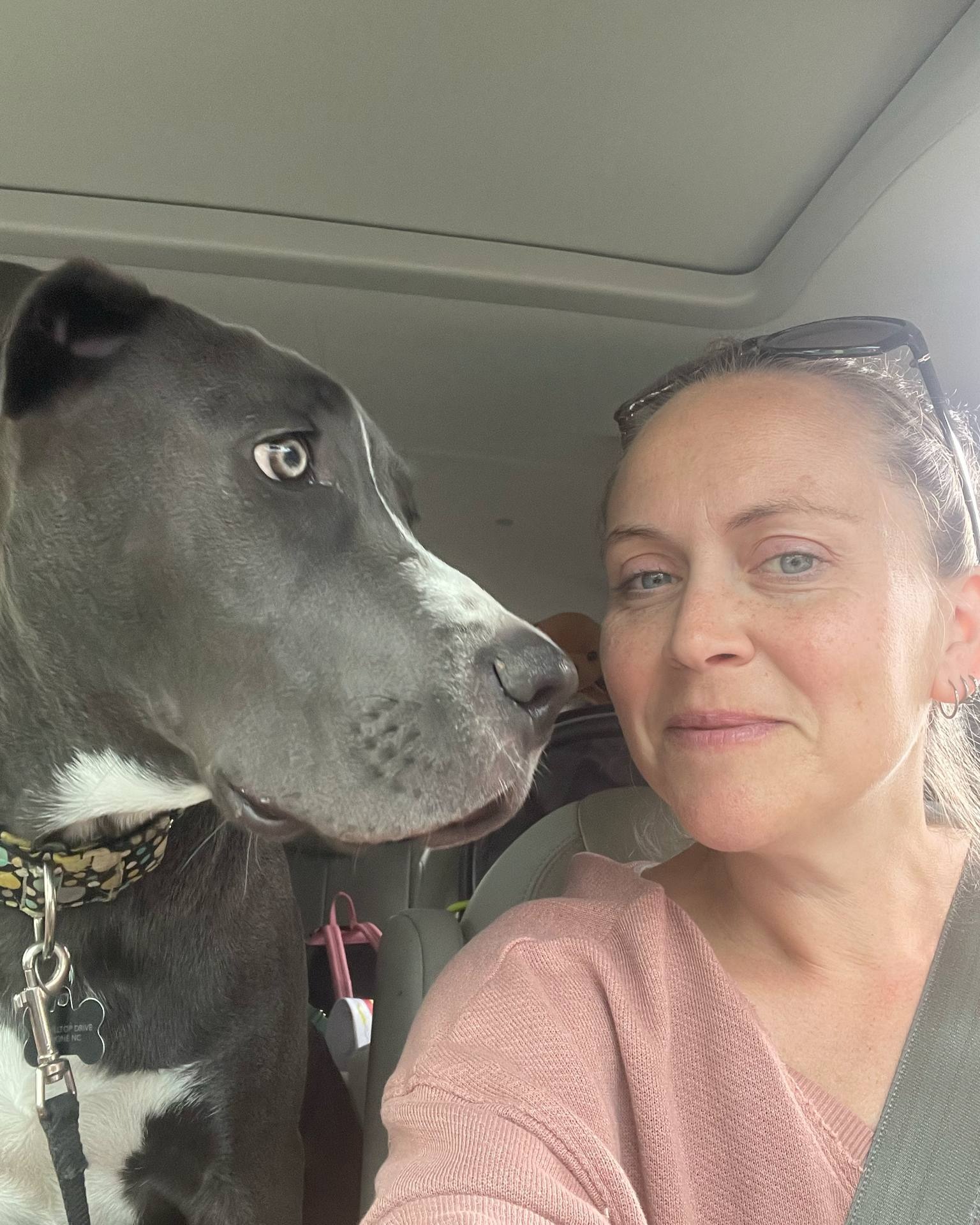 Great Dane Friends of Ruff Love