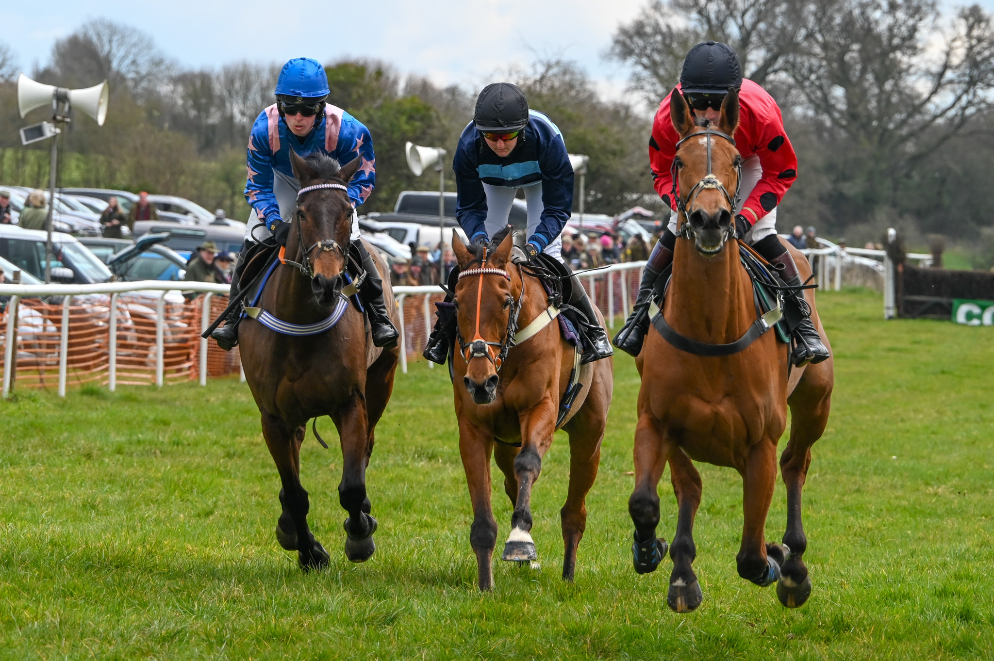 Quantock Point to Point | Taunton