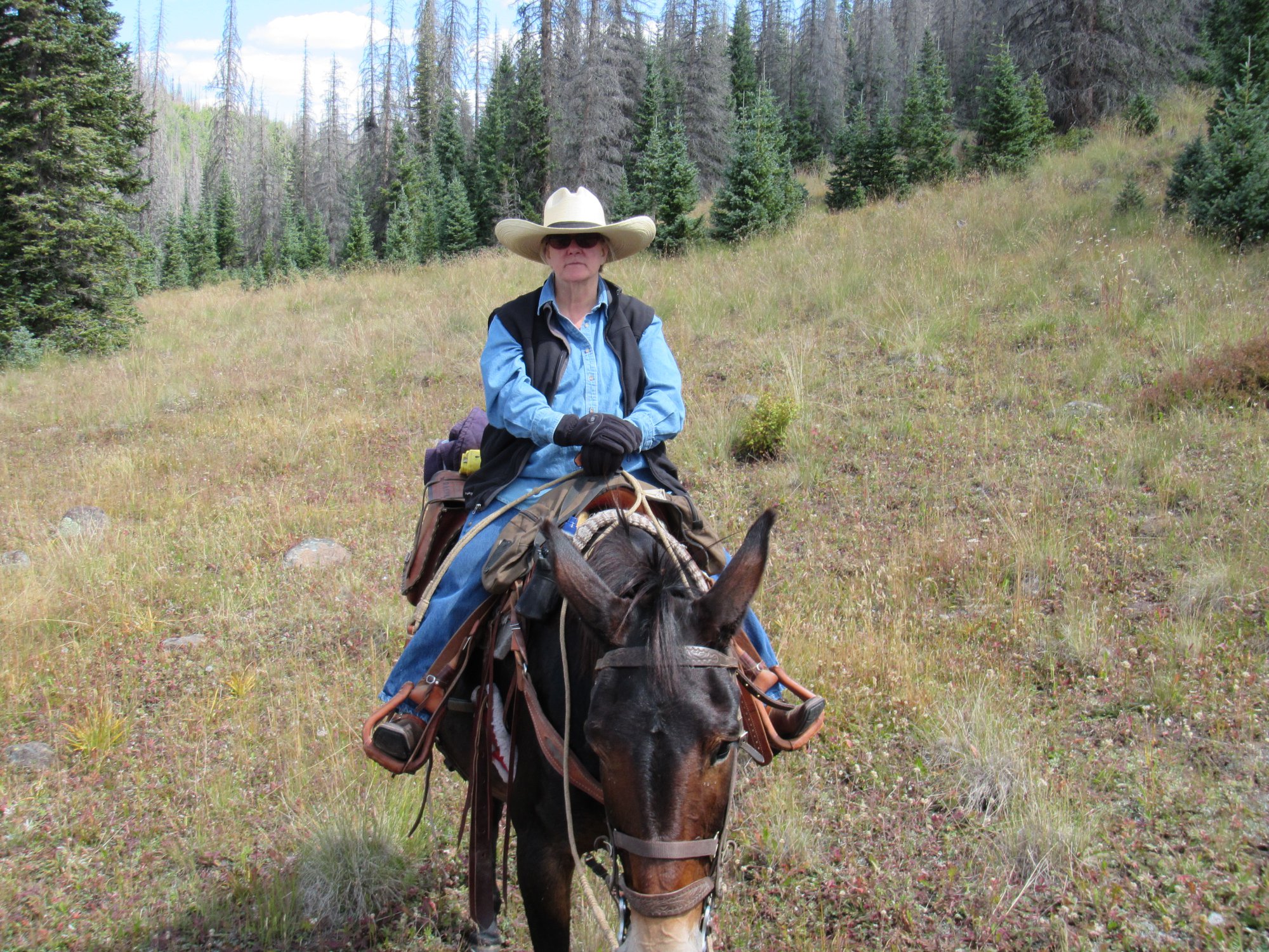 RC Guest Ranch | Creede CO