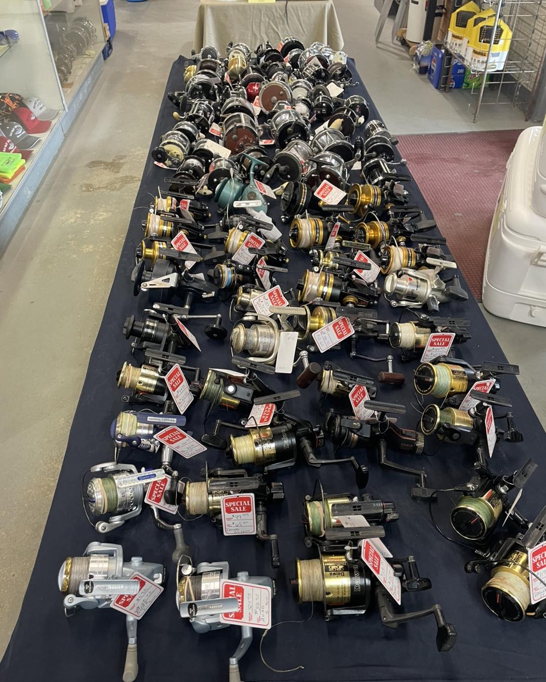 Old Inlet Bait and Tackle... - Old Inlet Bait and Tackle