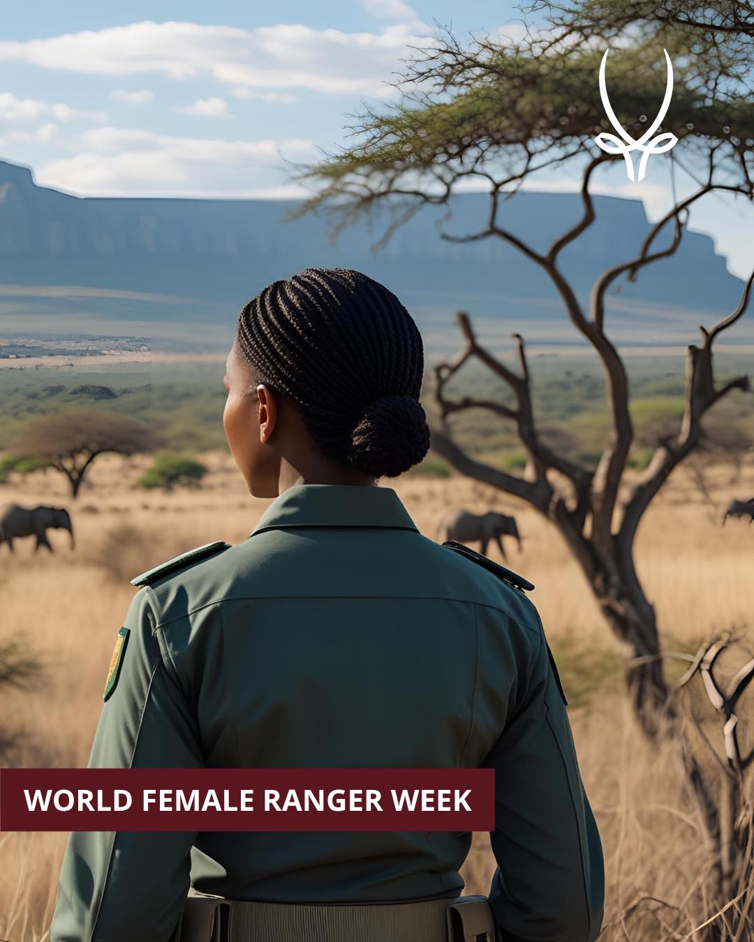 Sabi - This World Female Ranger Week, we honour the incredible women on ...