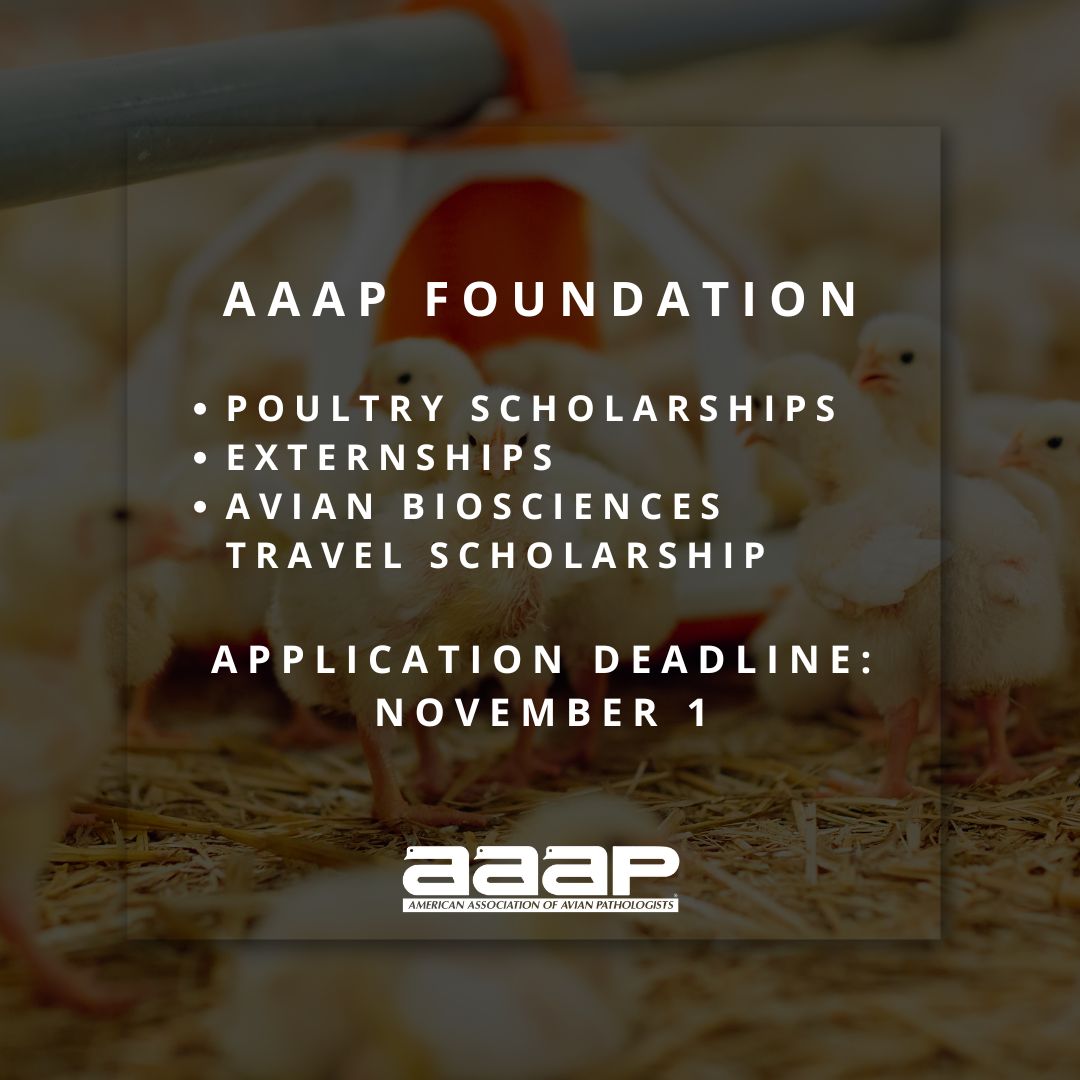 American - Calling all AAAP student members! The AAAP Foundation is now ...
