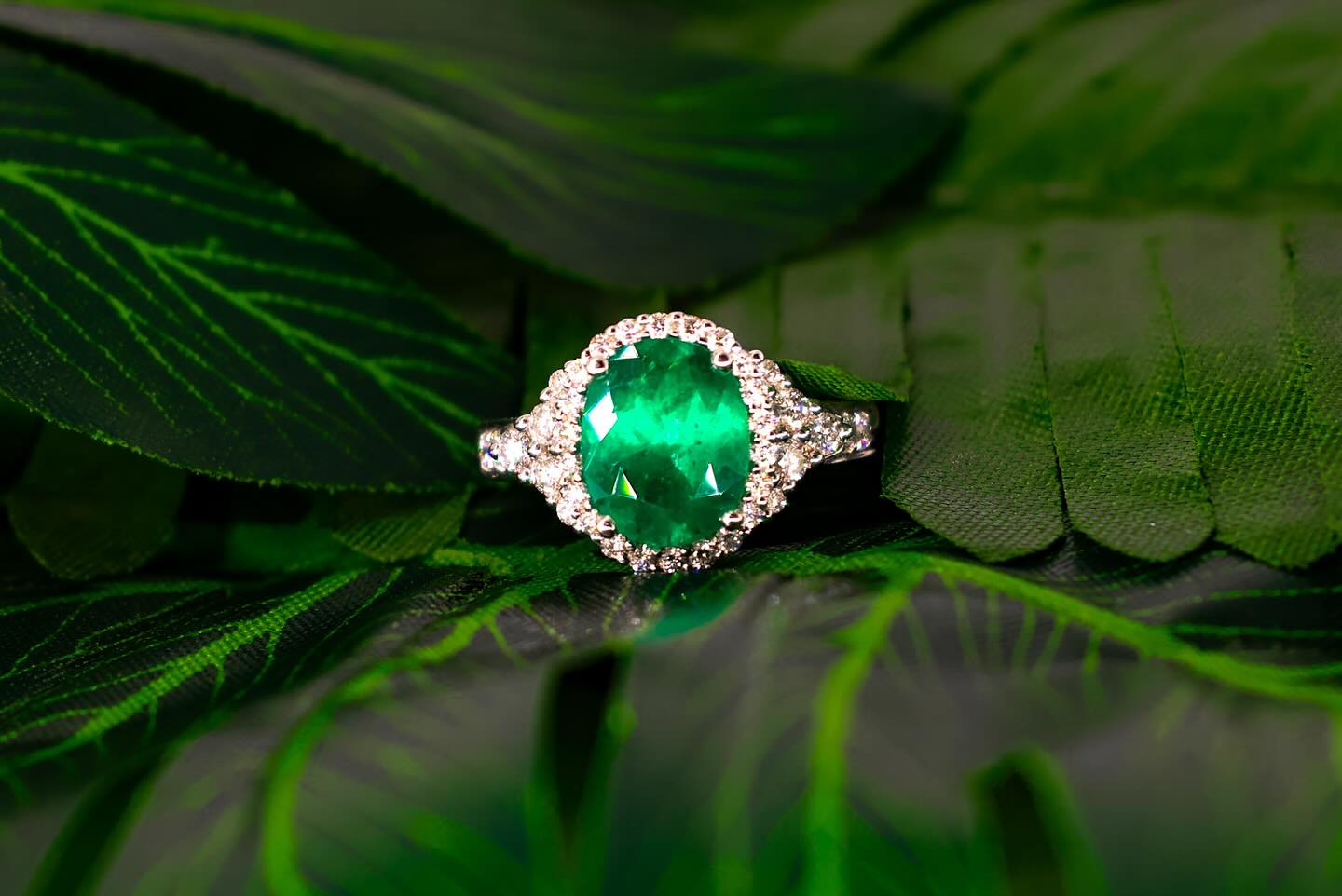 Clater Jewelers Diamond Center | Louisville KY