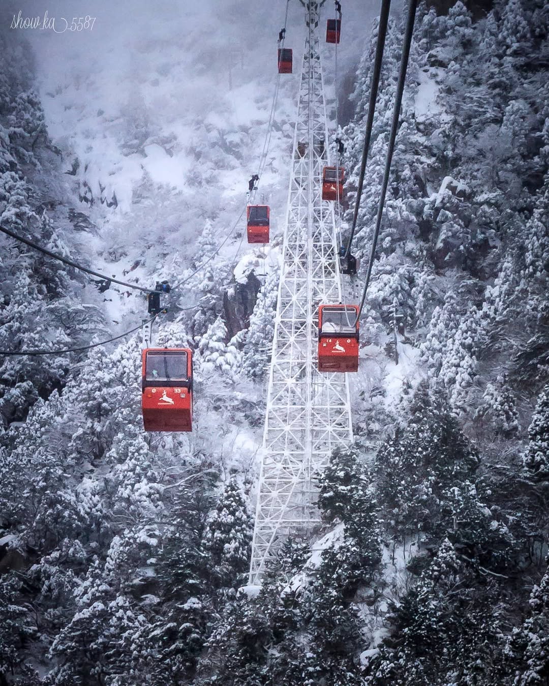 Travel - Winter’ Spectacular Rime Ice: Mt. Gozaisho Many people think ...