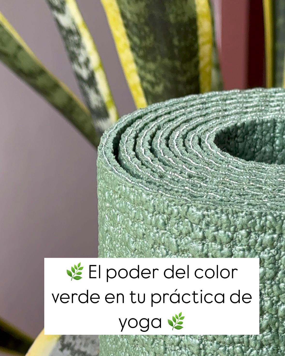 Akasha Mat - 🌿 El Poder del color verde en tu práctica de... | Facebook