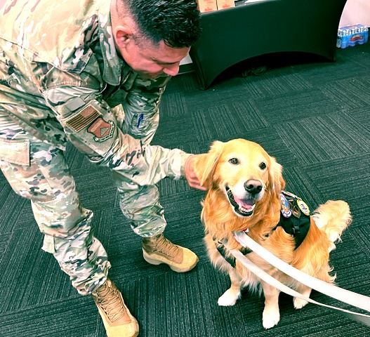 USO - 🐾 Meet Ranger — our lovable USO Canine Volunteer & certified ...