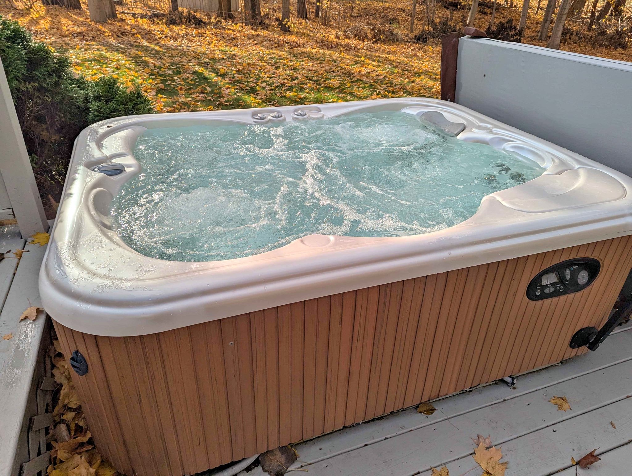Hot Springs JET SETTER Hot Tub - Pools & Spas - Lake Odessa, Michigan ...
