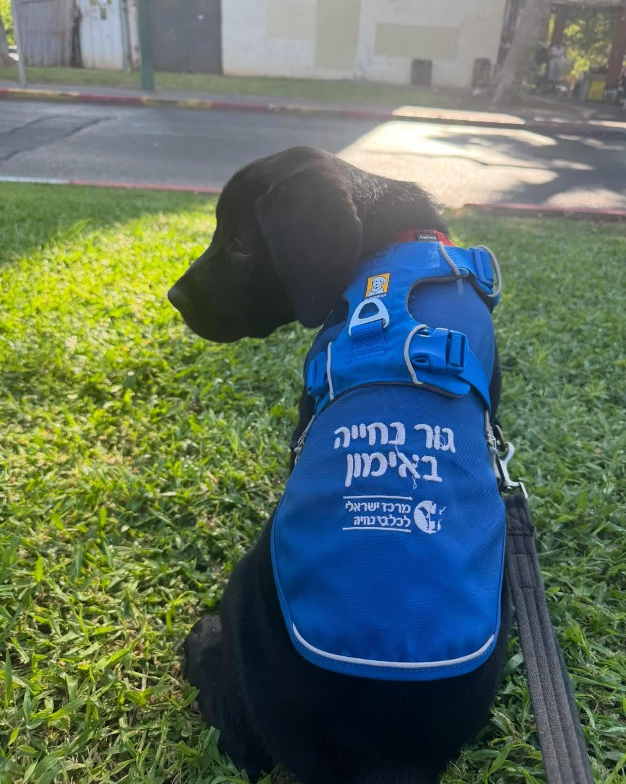 @Faran Raz לנהג אוטובוס... - שווים - קול לאנשים עם מוגבלות | Facebook