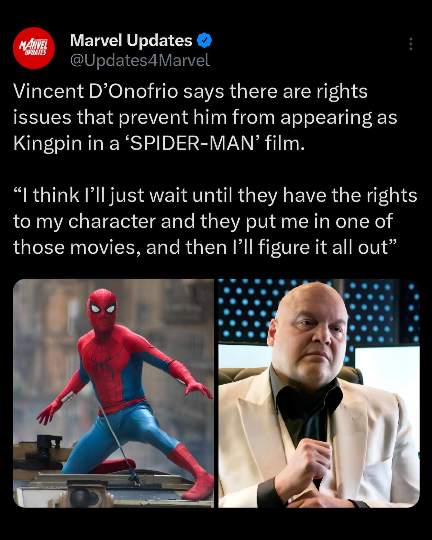 Marvel Updates - Vincent D’Onofrio says rights issues... | Facebook