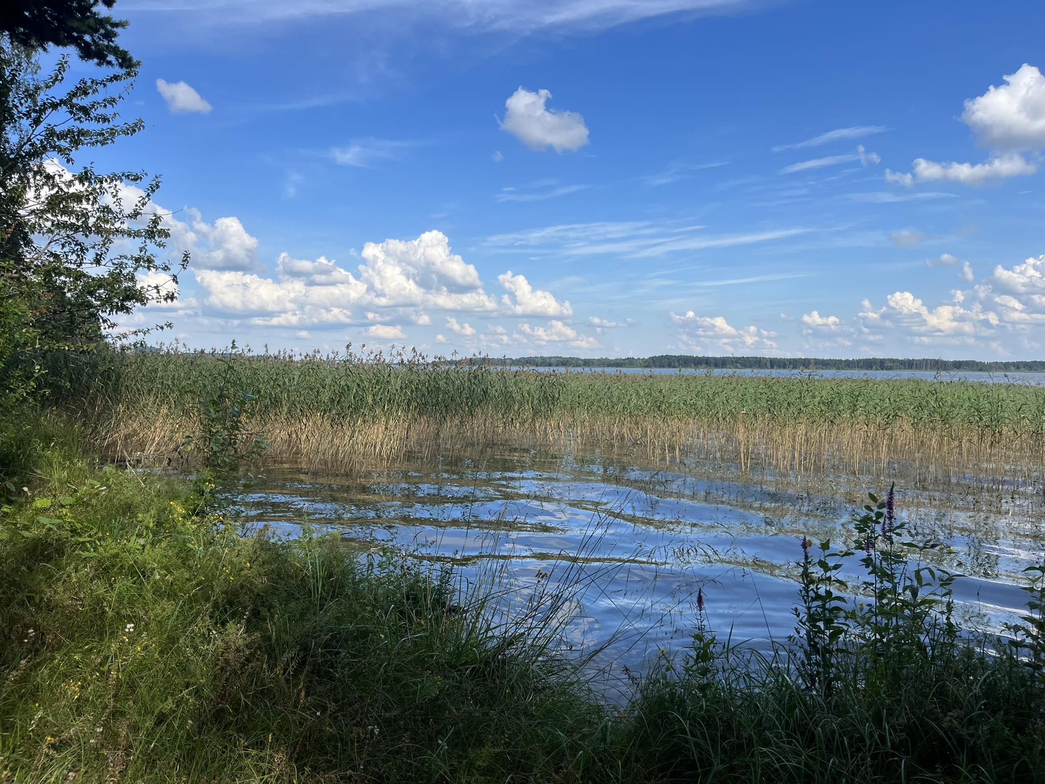 Järvejooksud - Jooksusõbrale vaid kord aastas, 2025.aastal 9.augustil ...