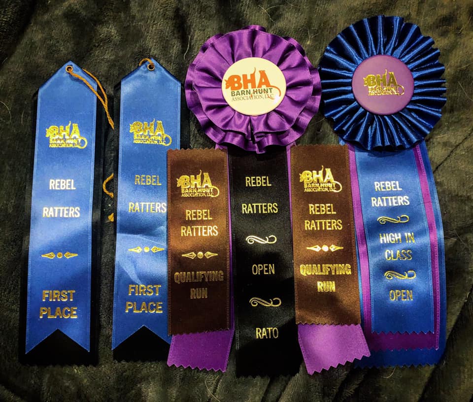 Barn Hunt Association, LLC