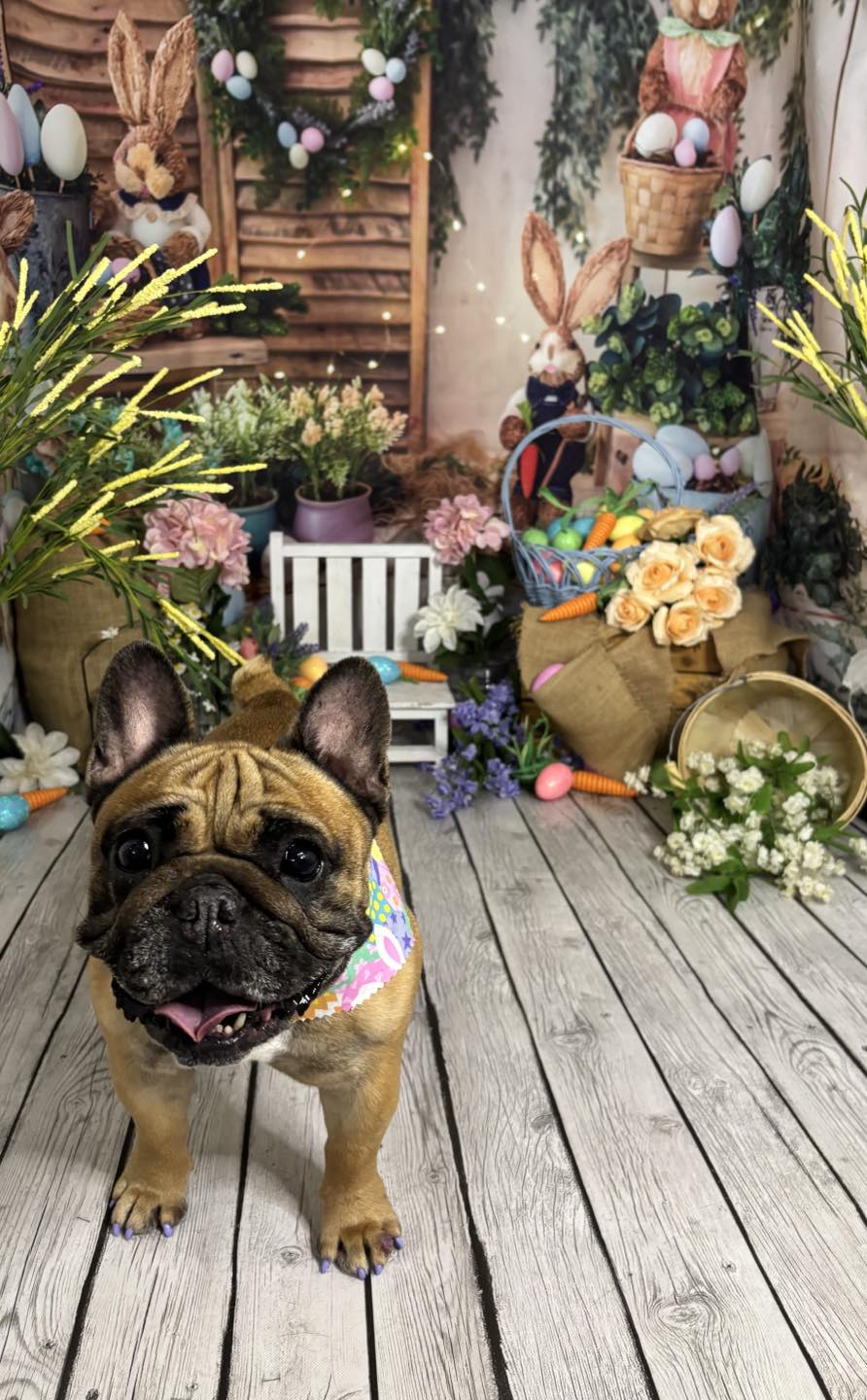 Lucky Scarlett Sinclair🦋🌥️💐 Facebook