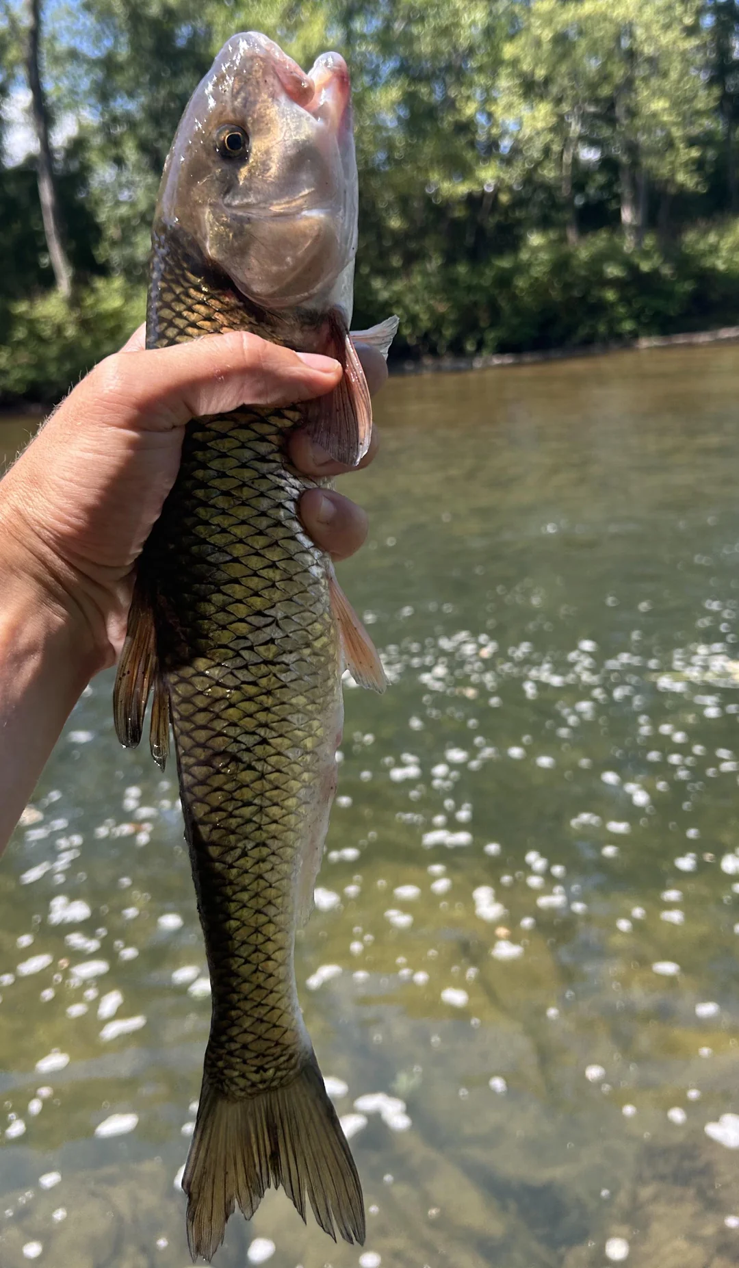 Field & Stream - How well do we know our species... 😏... | Facebook